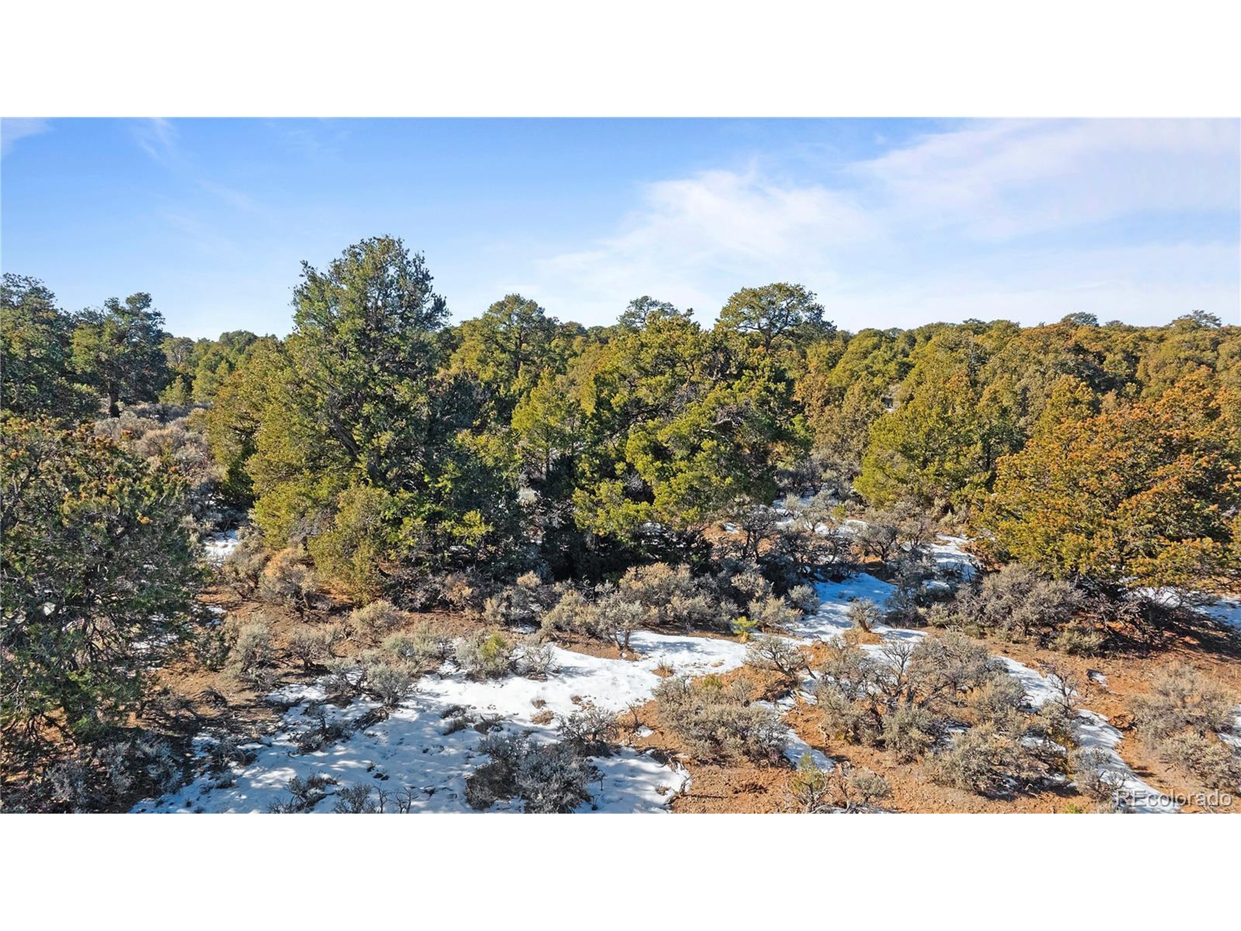 90 Elk Park Road San Luis, CO 81152 - Photo 5 of 34 a black and white photo of a field