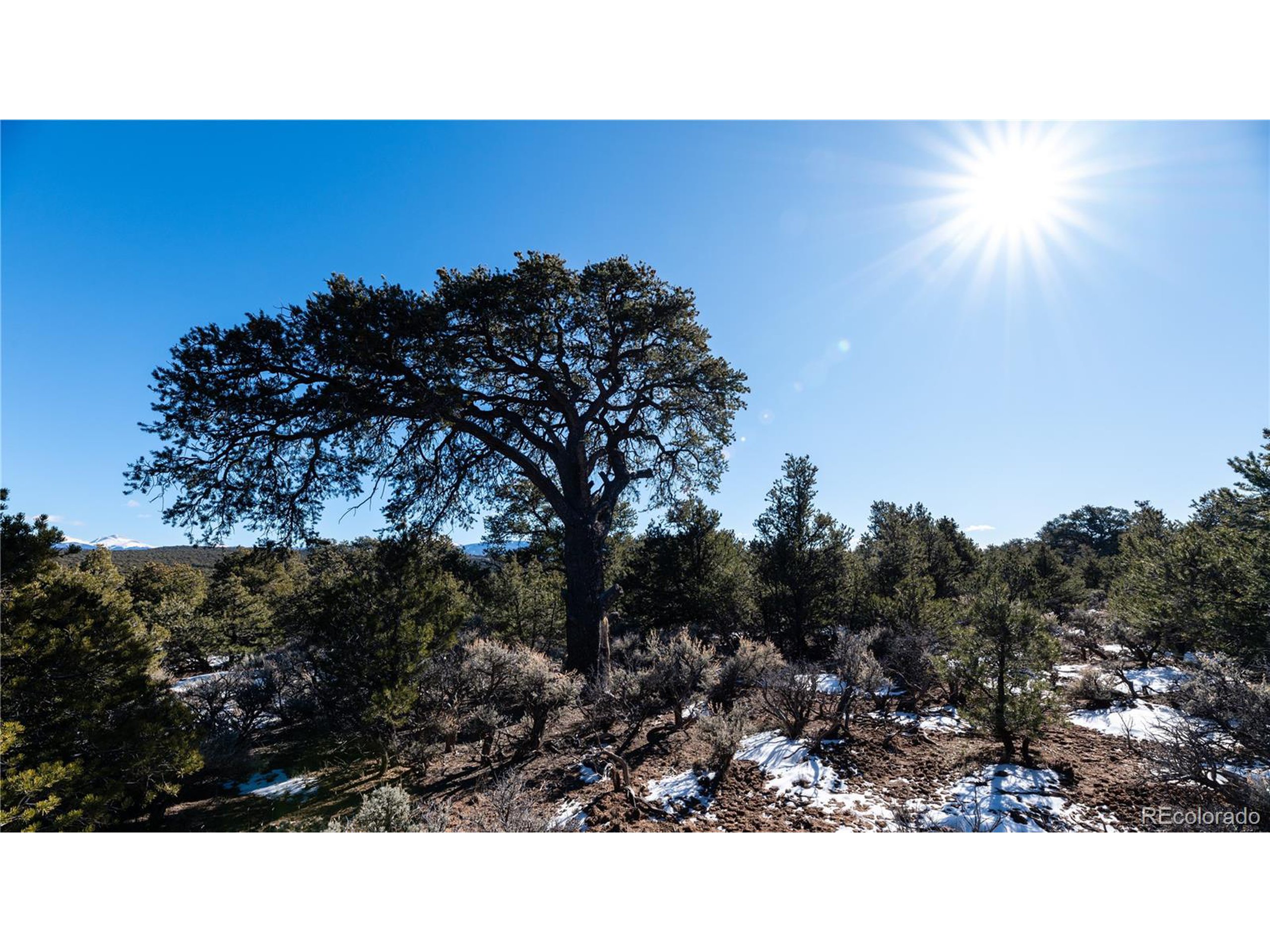 90 Elk Park Road San Luis, CO 81152 - Photo 6 of 34 a black and white photo of a park