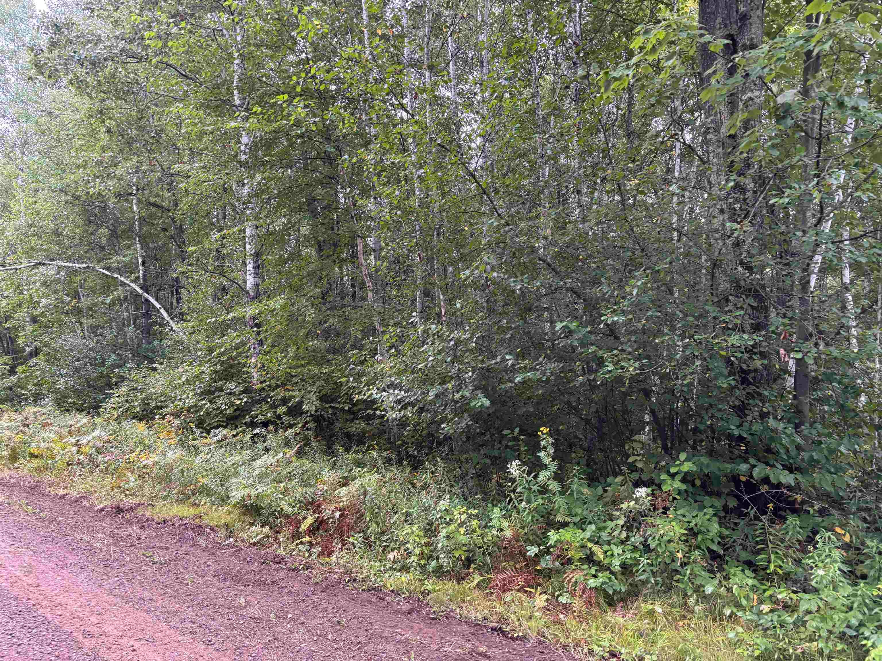 Armstrong Creek Road Tomahawk, WI 54487 - Photo 1 of 1 Gallery Image 1