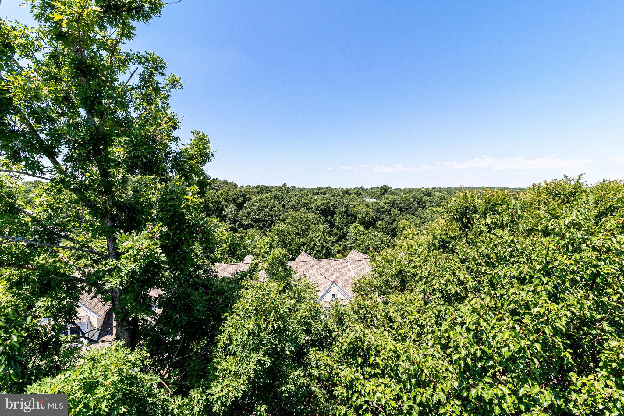 2044 Beacon Place Reston, VA 20191 - Photo 55 of 67