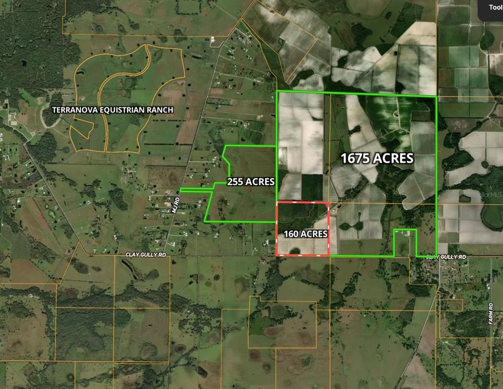 Clay Gully Road Myakka City, FL 34251 - Photo 5 of 5