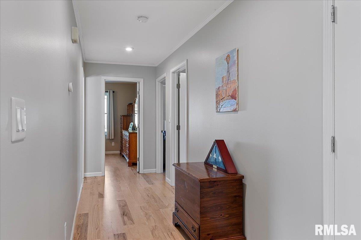 1224 Old Crows Way Springfield, IL 62712 - Photo 19 of 32