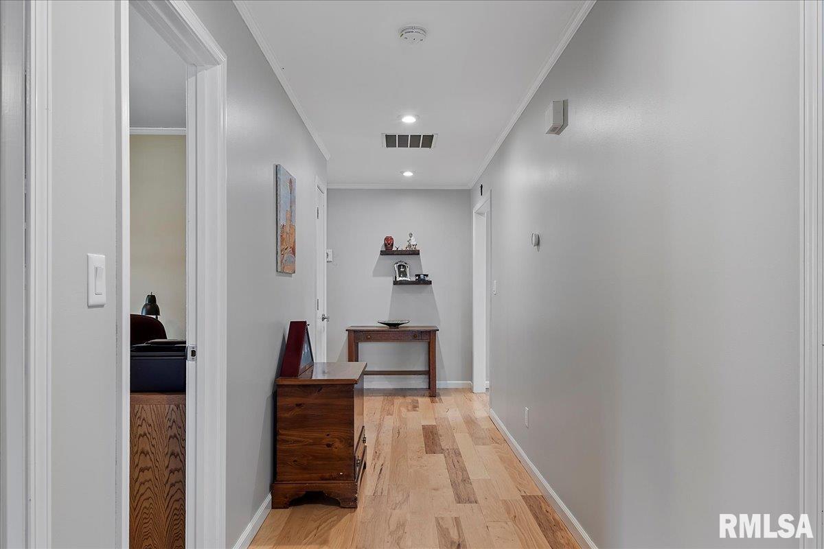 1224 Old Crows Way Springfield, IL 62712 - Photo 20 of 32