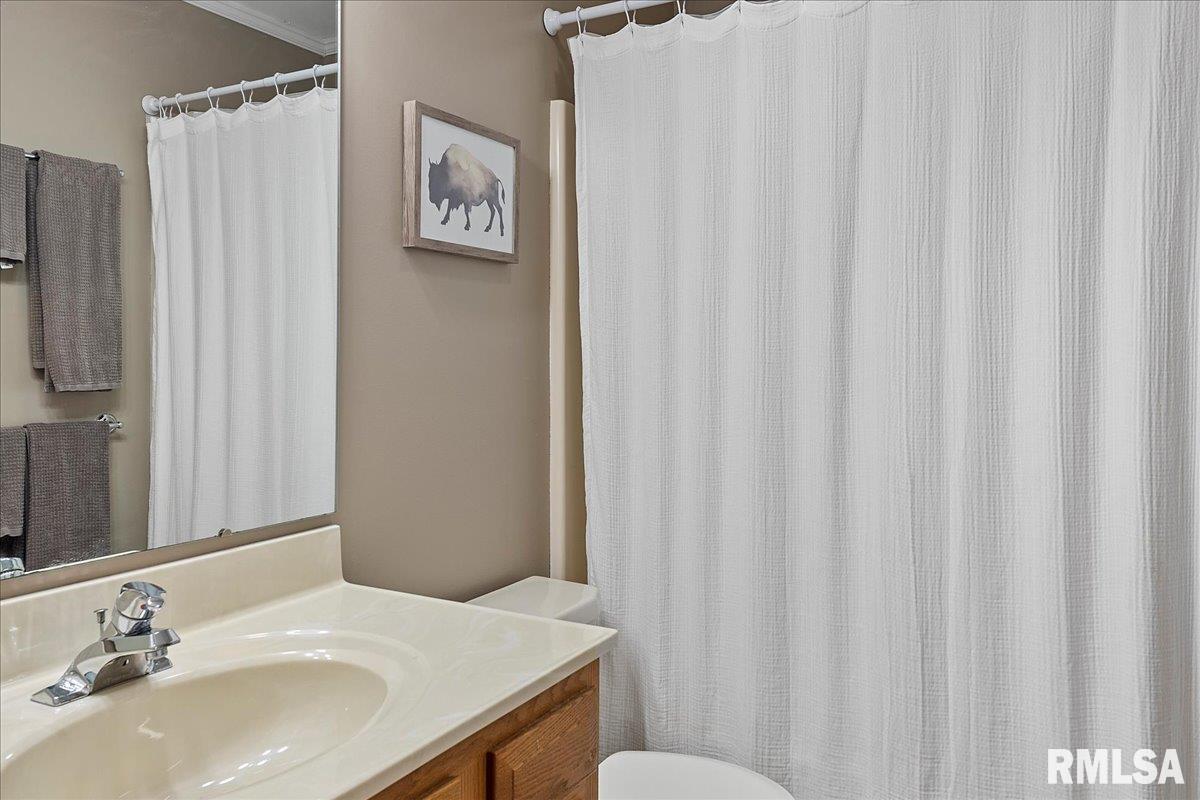 1224 Old Crows Way Springfield, IL 62712 - Photo 21 of 32