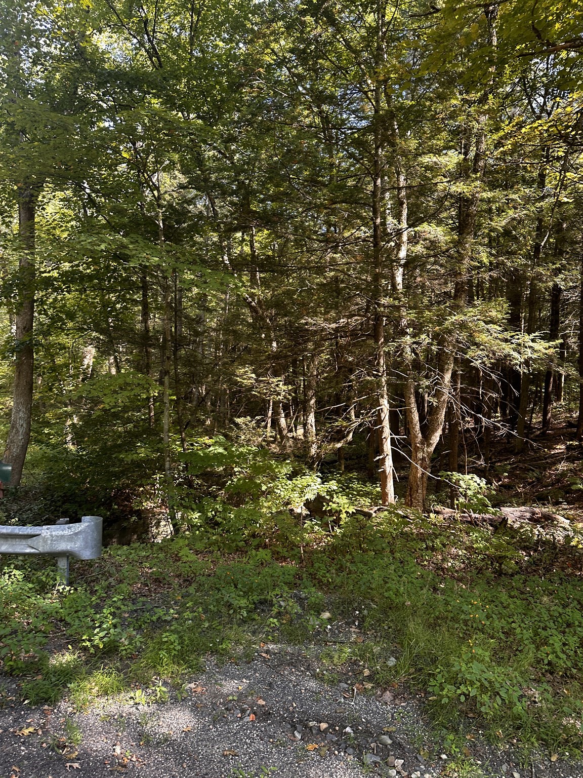0 Main Road Westfield, MA 01085 - Photo 1 of 6 Gallery Image 1