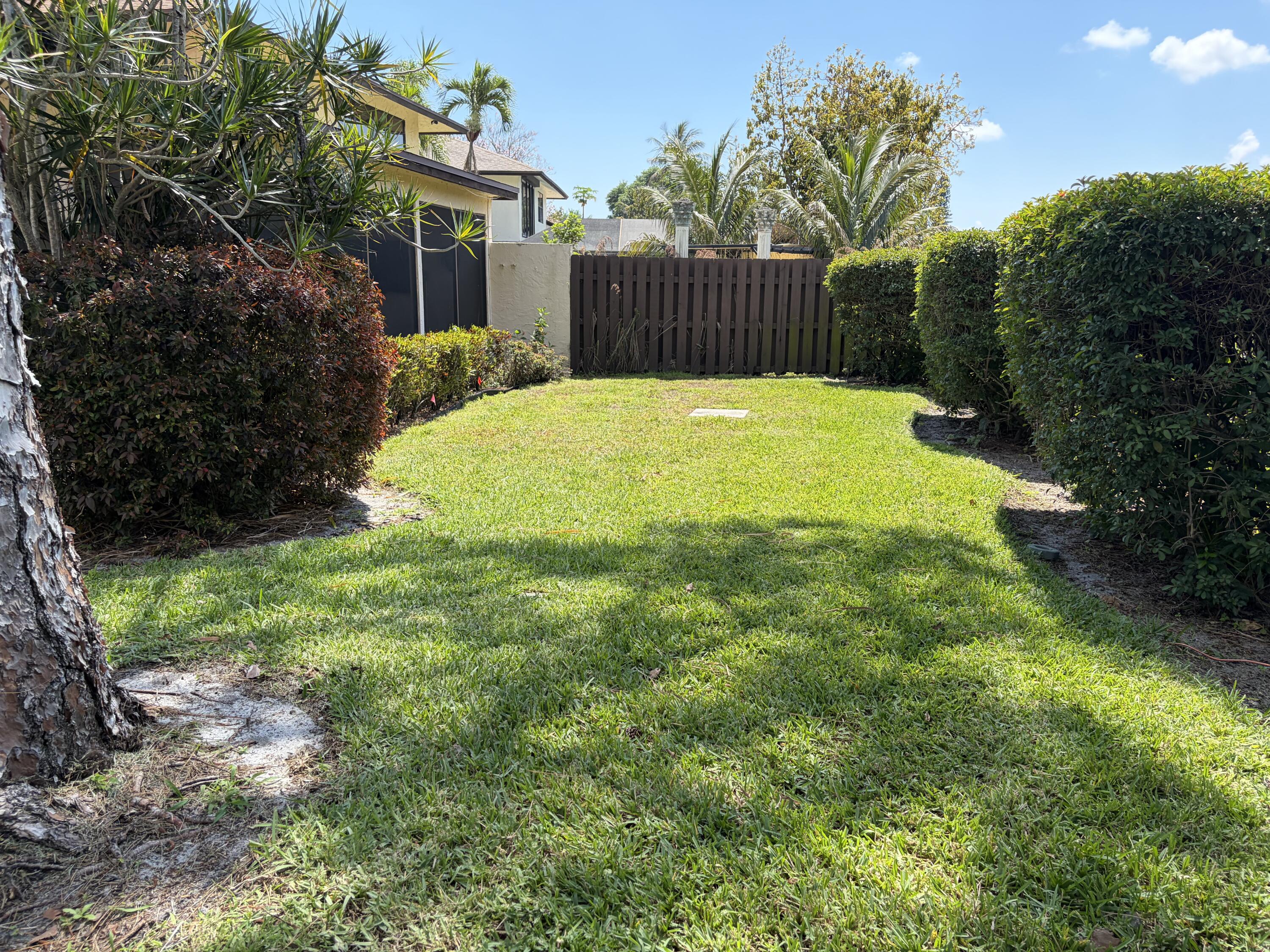 354 Southwest 28th Avenue Delray Beach, FL 33445 - Photo 35 of 54 a view of a backyard with plants and large trees