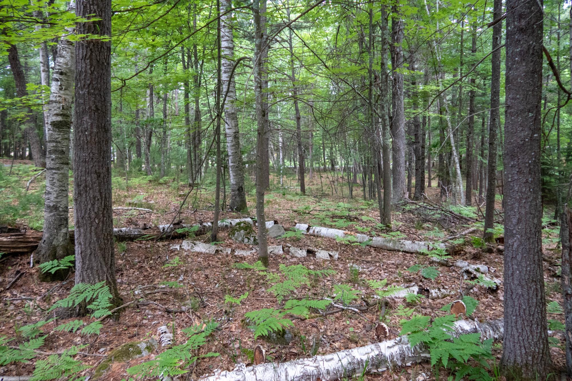 3-acres Bass Lake Loop Rhinelander, WI 54501 - Photo 18 of 22 Gallery Image 18