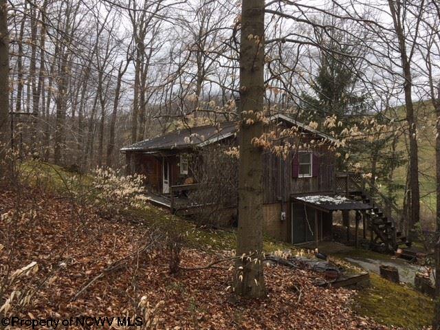 1423 Little Sand Run Road Buckhannon, WV 26201 - Photo 4 of 8 Gallery Image 4