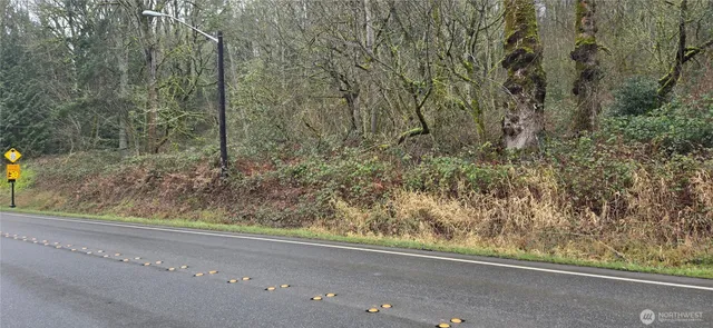 a view of a yard with an outdoor space