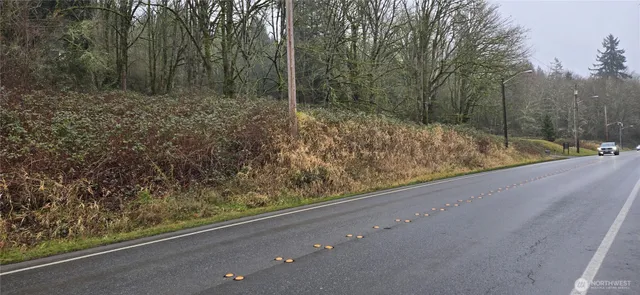 a view of a yard with an outdoor space