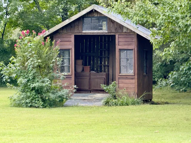 a view of a wooden house with a small yard plants and large trees