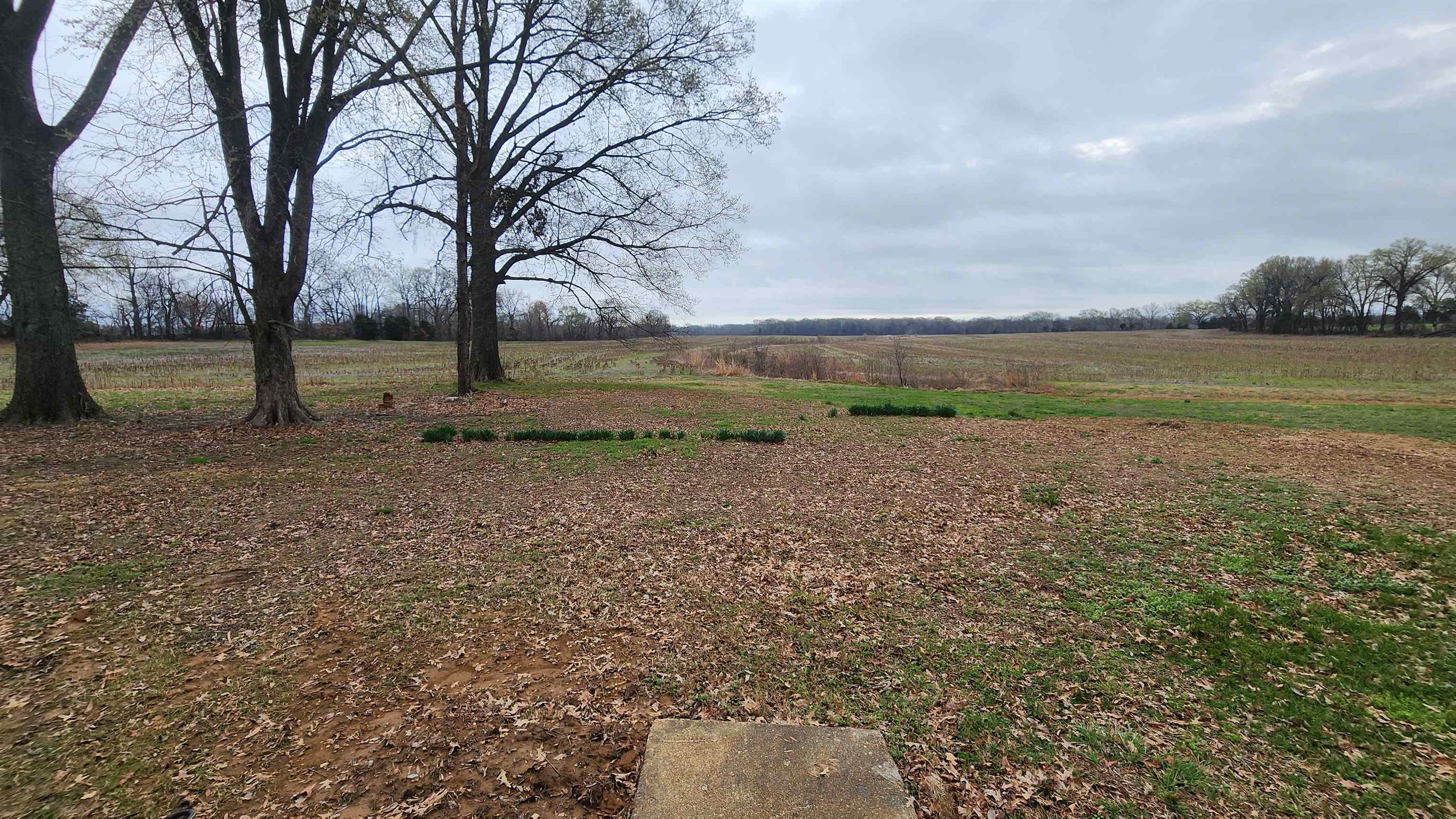 5200 Durhamville Road Ripley, TN 38063 - Photo 1 of 18 a view of outdoor space with deck and yard