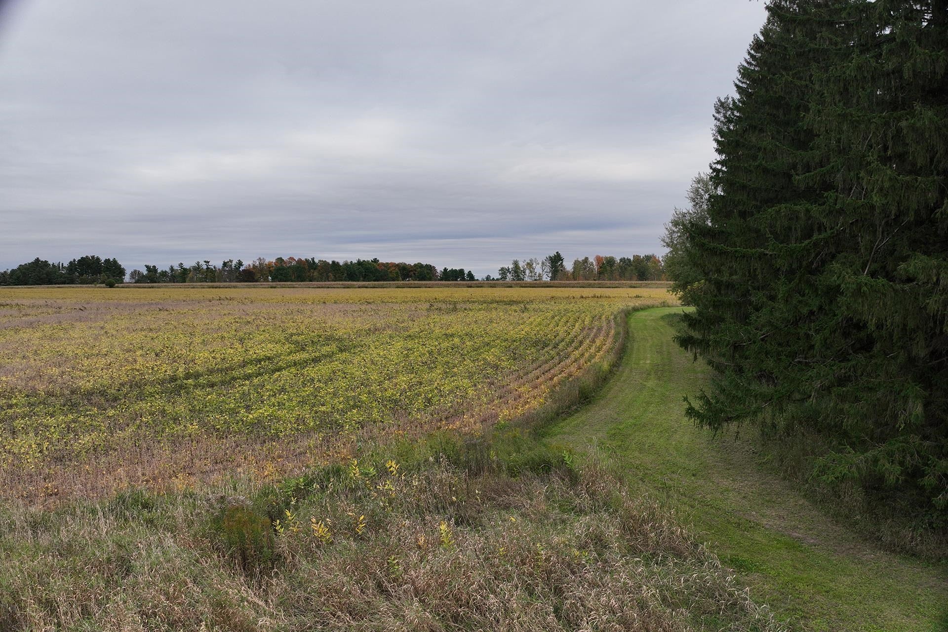 N6722 County Rd G Neillsville, WI 54456 - Photo 49 of 60 Gallery Image 49