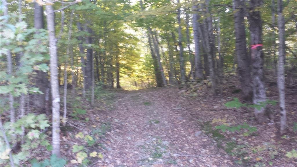 125 Hebron Center Road, Unit EST ST ADDRESS Hebron, ME 04238 - Photo 1 of 19 Parcel is on right - showing a...