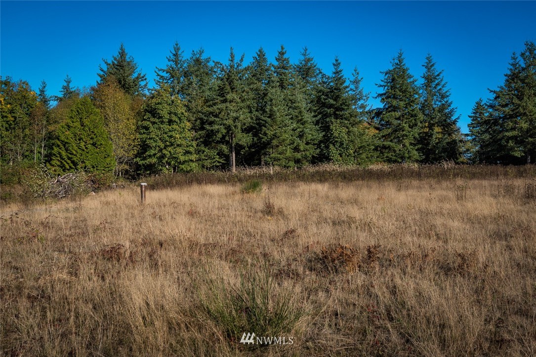 9526 Valley View Road Blaine, WA 98230 - Photo 13 of 23