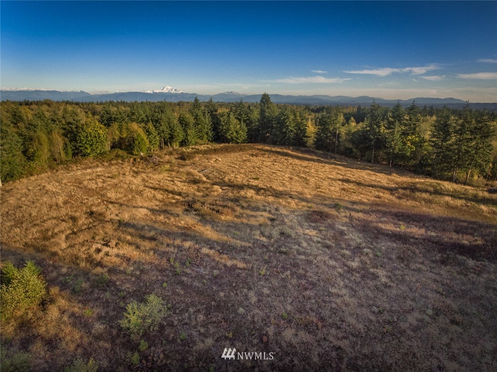 9526 Valley View Road Blaine, WA 98230 - Photo 15 of 23