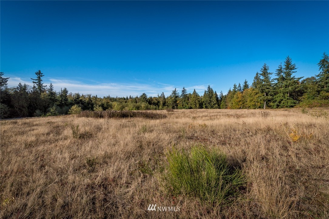 9526 Valley View Road Blaine, WA 98230 - Photo 18 of 23