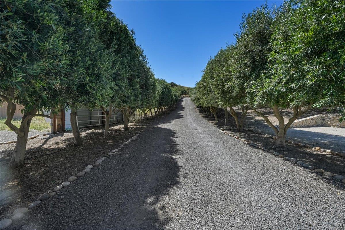 2727 Thomas Road Hollister, CA 95023 - Photo 71 of 83 a view of a street with trees on both side of it