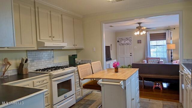1701 Eastwood Road Natchez, MS 39120 - Photo 6 of 20 Kitchen 4