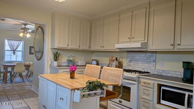 1701 Eastwood Road Natchez, MS 39120 - Photo 9 of 20 Kitchen