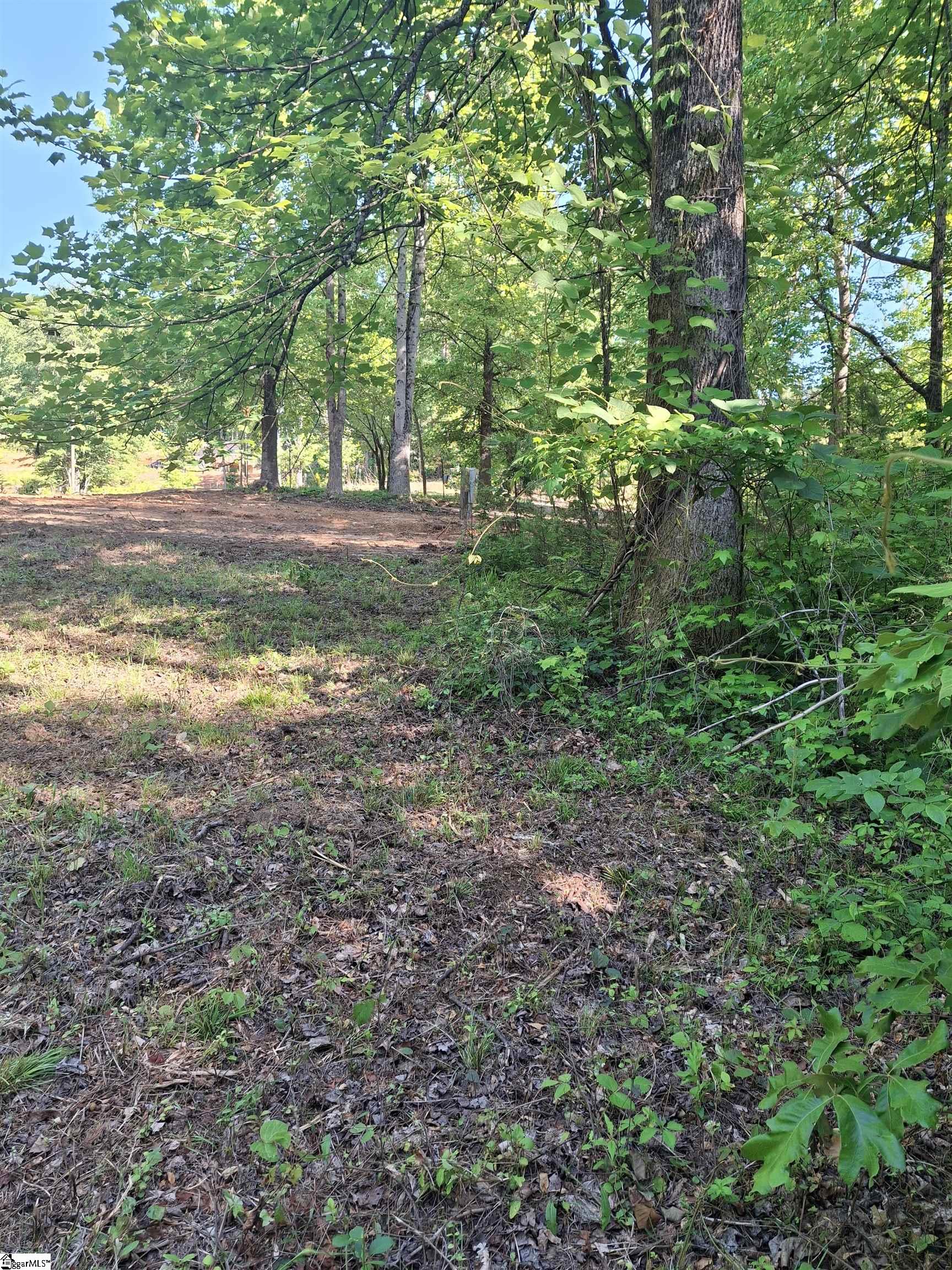 130 Sunny Lane Pickens, SC 29671 - Photo 8 of 17