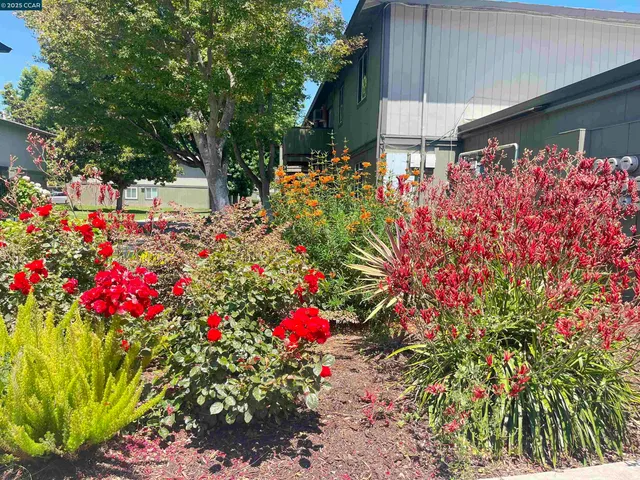 $199,000 | 1133 Meadow Lane, Unit 53, Concord, CA 94520