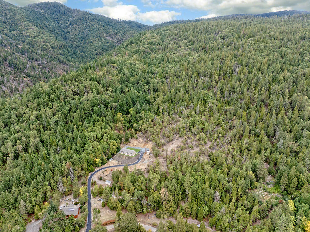 5572 Jumpoff Joe Creek Road Grants Pass, OR 97526 - Photo 26 of 38 a view of a forest with a tree