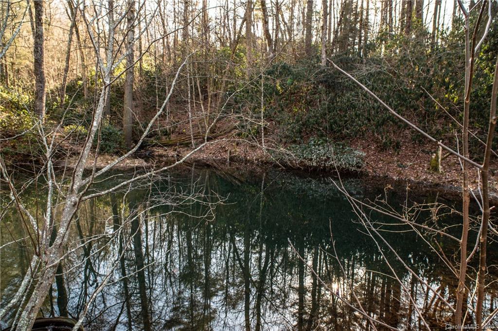 59 Two Ponds Road Sapphire, NC 28774 - Photo 39 of 45 Gallery Image 39