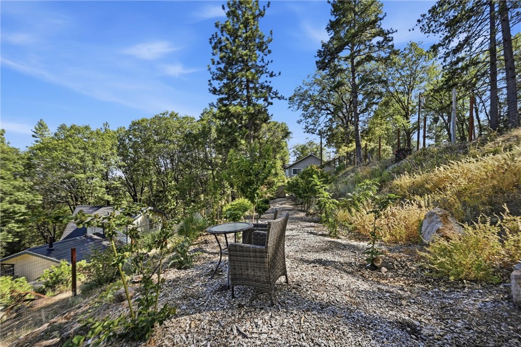 11240 Loch Lomond Road Middletown, CA 95461 - Photo 45 of 54 view are incredible