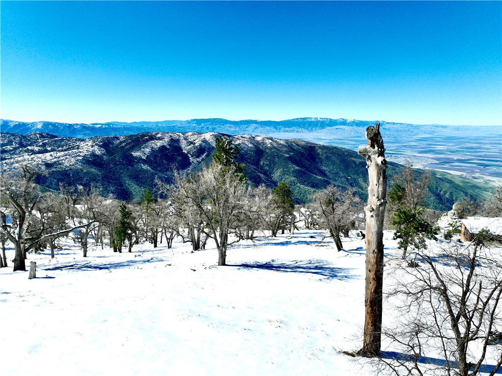 26511 Teal Court Tehachapi, CA 93561 - Photo 58 of 68
