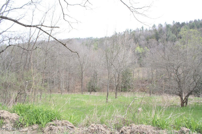 0 Forest Road Ulster, PA 18850 - Photo 6 of 13 125425-06