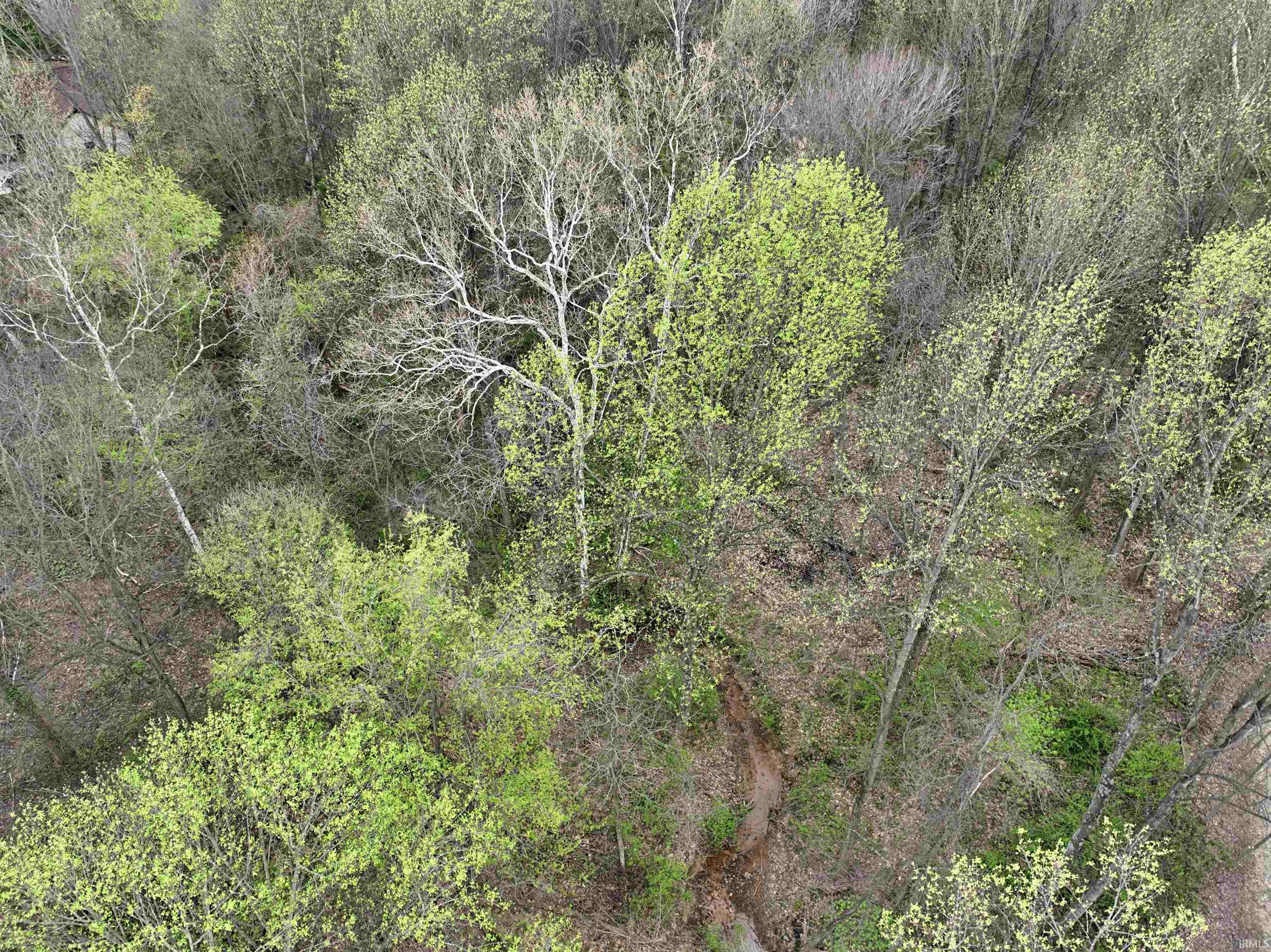 164 State Road Jasper, IN 47546 - Photo 13 of 17 Gallery Image 13