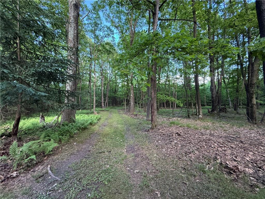 616 Matson Road Ligonier, PA 15658 - Photo 20 of 22