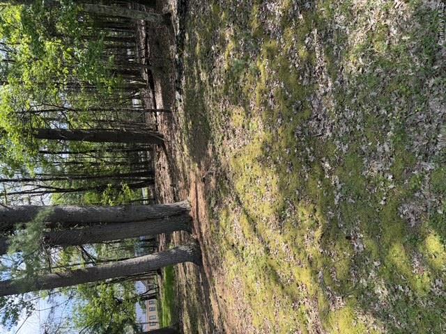 655 Samsonville Road Kerhonkson, NY 12446 - Photo 2 of 11 a view of a tree in the middle of a yard