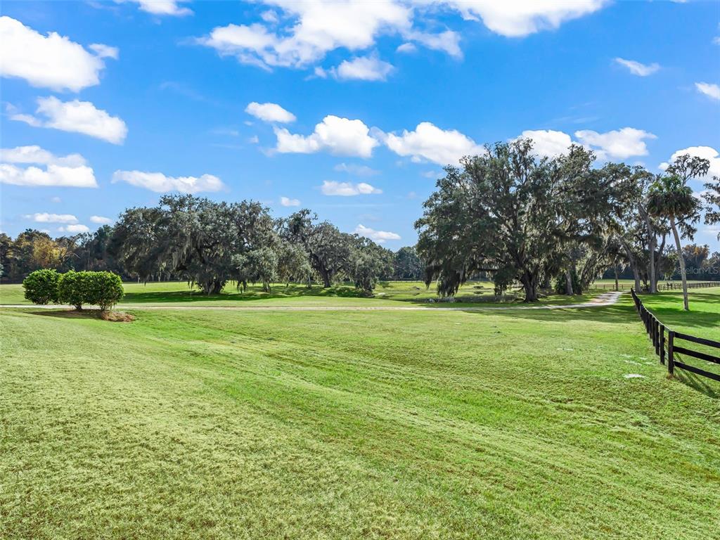 12450 Southwest 140th Loop Dunnellon, FL 34432 - Photo 61 of 64 Gallery Image 61