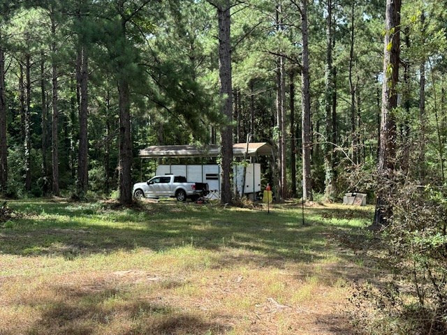273 Edgar Holmes Road Tylertown, MS 39667 - Photo 3 of 17 Photo 3