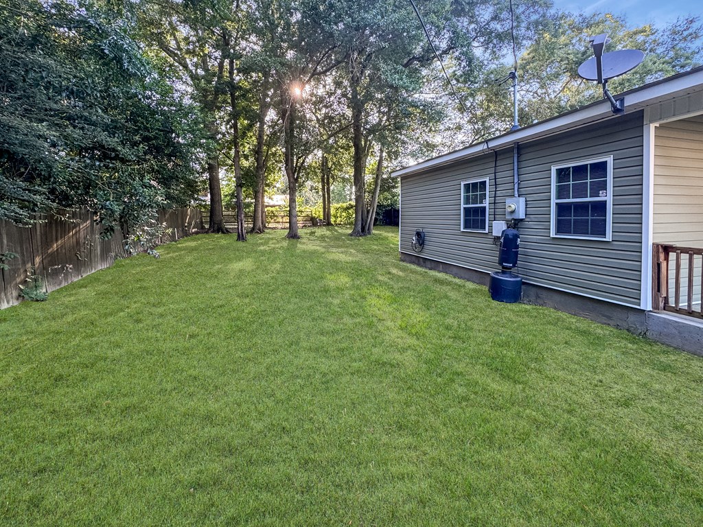336 Main Street Ashford, AL 36312 - Photo 26 of 28