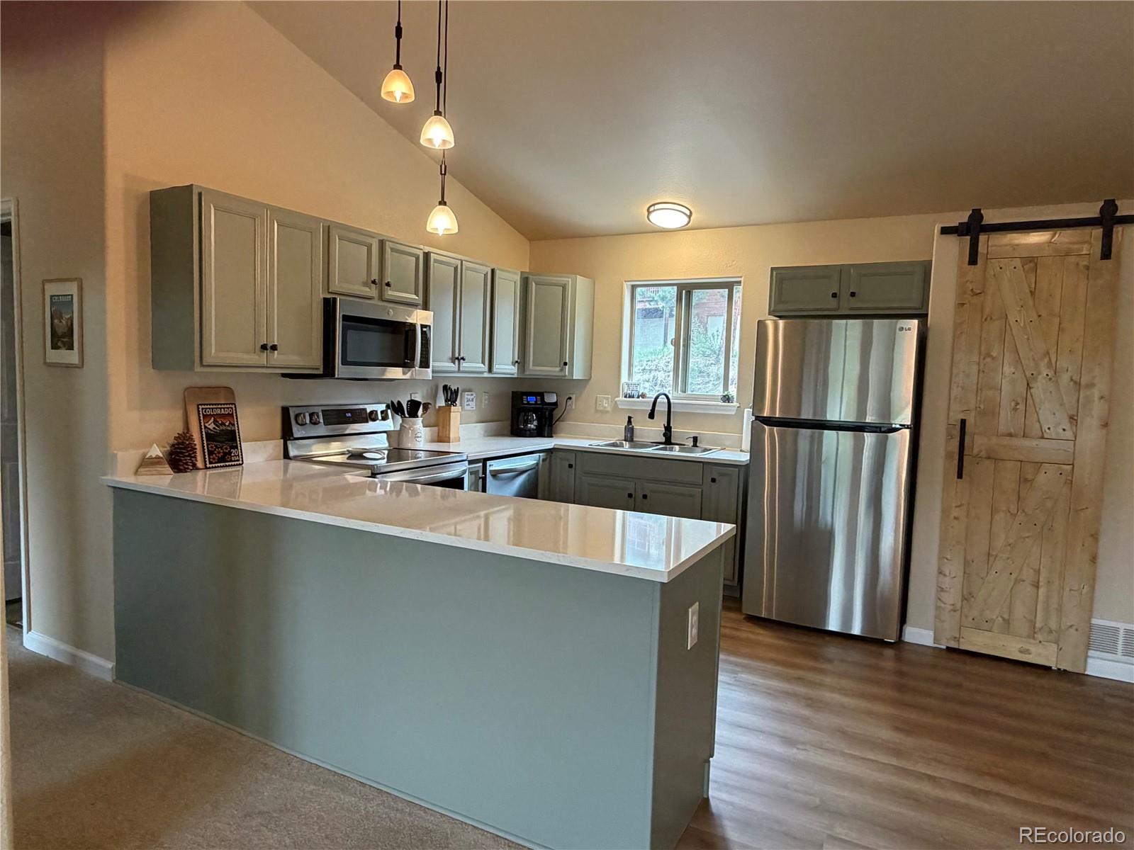 303 Virginia Road, Unit E Bailey, CO 80421 - Photo 4 of 27