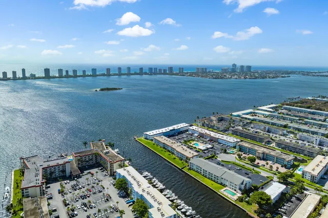 a view of swimming pool with a yard and large tree