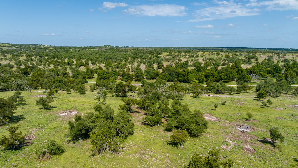 3 Loudon Road, Unit 3 Fredericksburg, TX 78624 - Photo 3 of 11 a view of a green field with lots of bushes