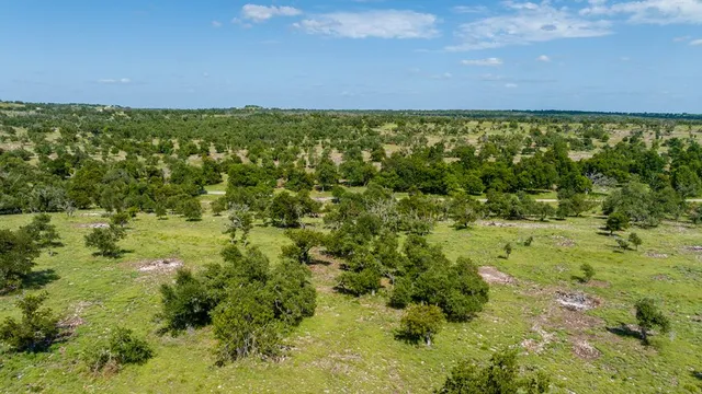 a view of a green field with lots of bushes