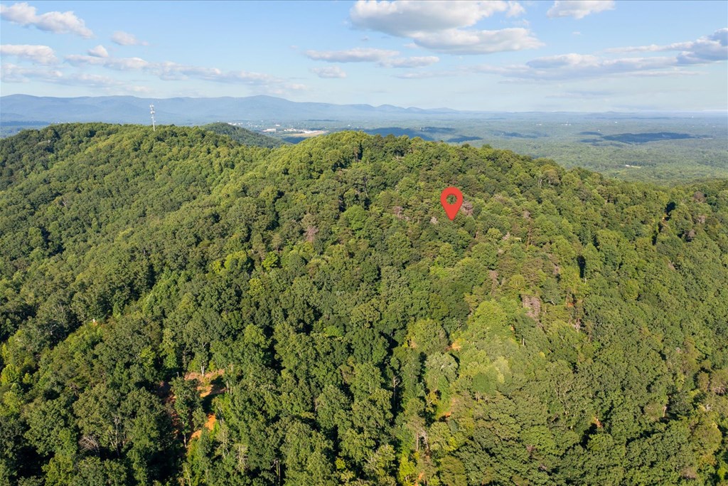 Lot 4-5 Firetower Road Jasper, GA 30143 - Photo 11 of 18