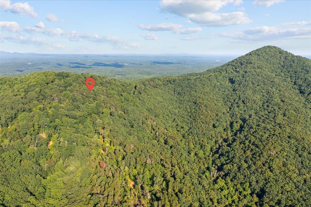 Lot 4-5 Firetower Road Jasper, GA 30143 - Photo 12 of 18