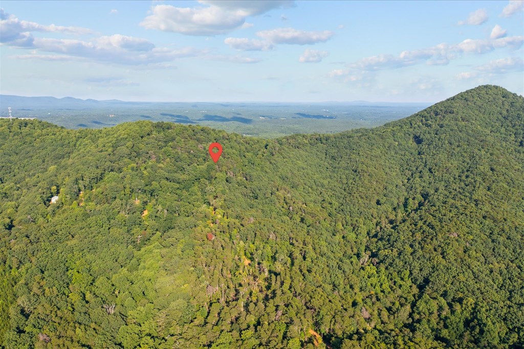 Lot 4-5 Firetower Road Jasper, GA 30143 - Photo 13 of 18