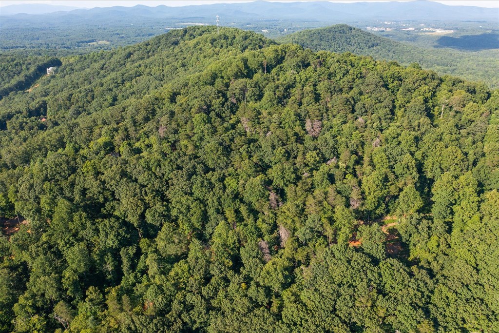 Lot 4-5 Firetower Road Jasper, GA 30143 - Photo 14 of 18