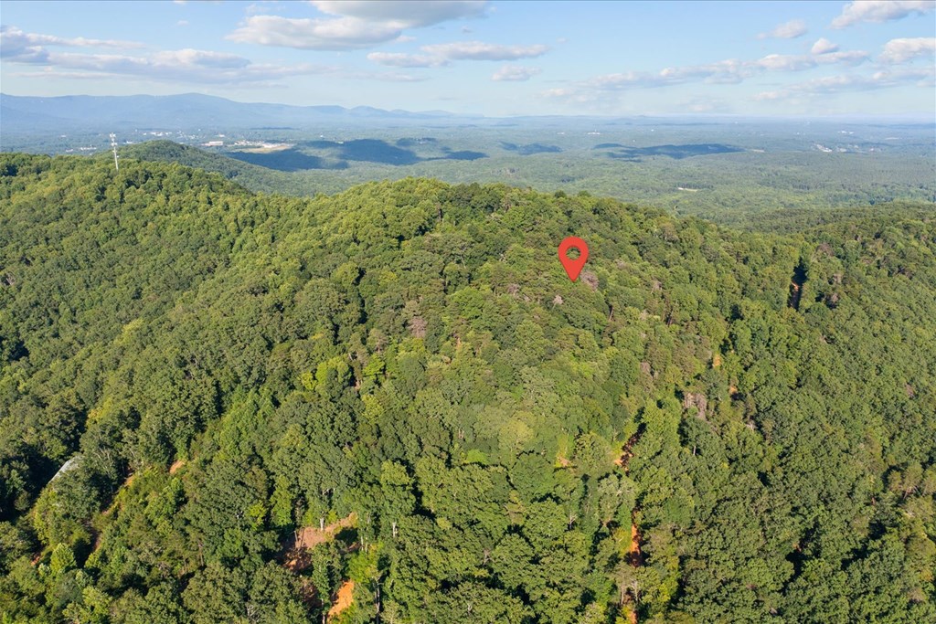 Lot 4-5 Firetower Road Jasper, GA 30143 - Photo 15 of 18