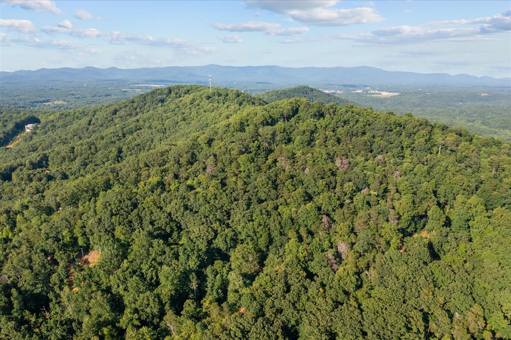 Lot 4-5 Firetower Road Jasper, GA 30143 - Photo 16 of 18