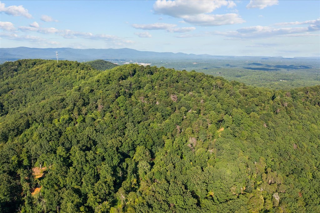 Lot 4-5 Firetower Road Jasper, GA 30143 - Photo 17 of 18