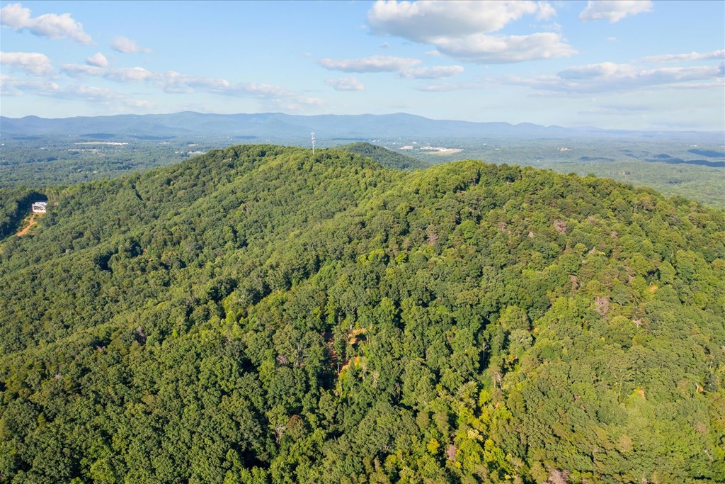 Lot 4-5 Firetower Road Jasper, GA 30143 - Photo 18 of 18