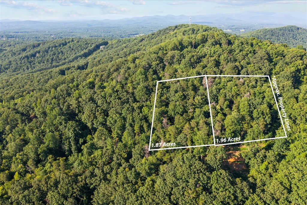 Lot 4-5 Firetower Road Jasper, GA 30143 - Photo 2 of 18